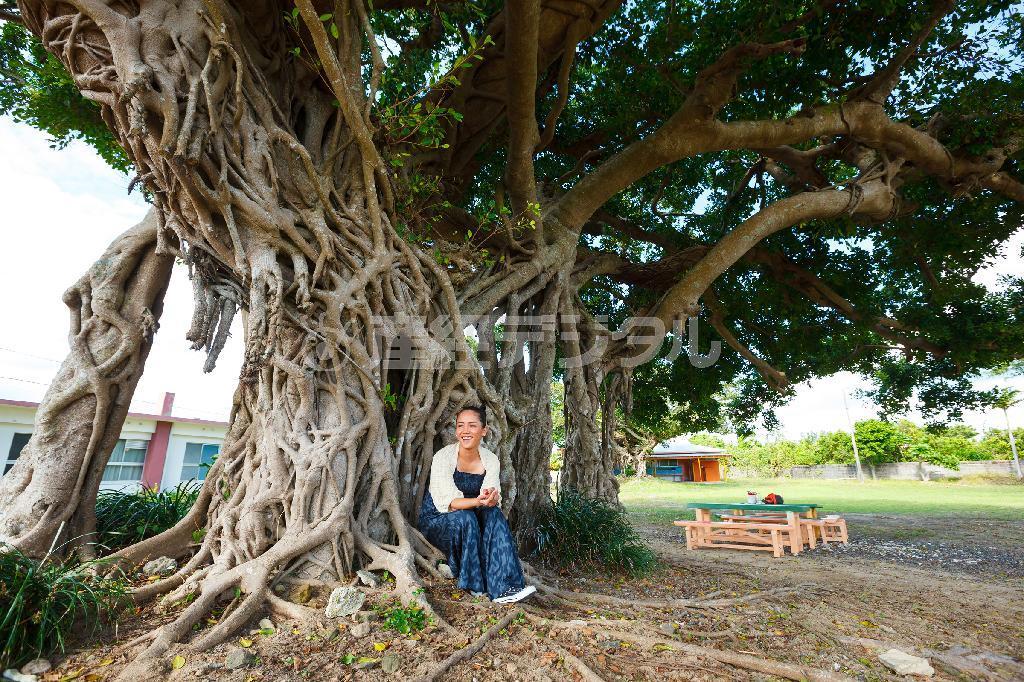 「カトリック赤尾木教会」の庭にある大きなガジュマルの木の下で＝鹿児島県大島郡龍郷町 （奄美大島、別府亮さん撮影）