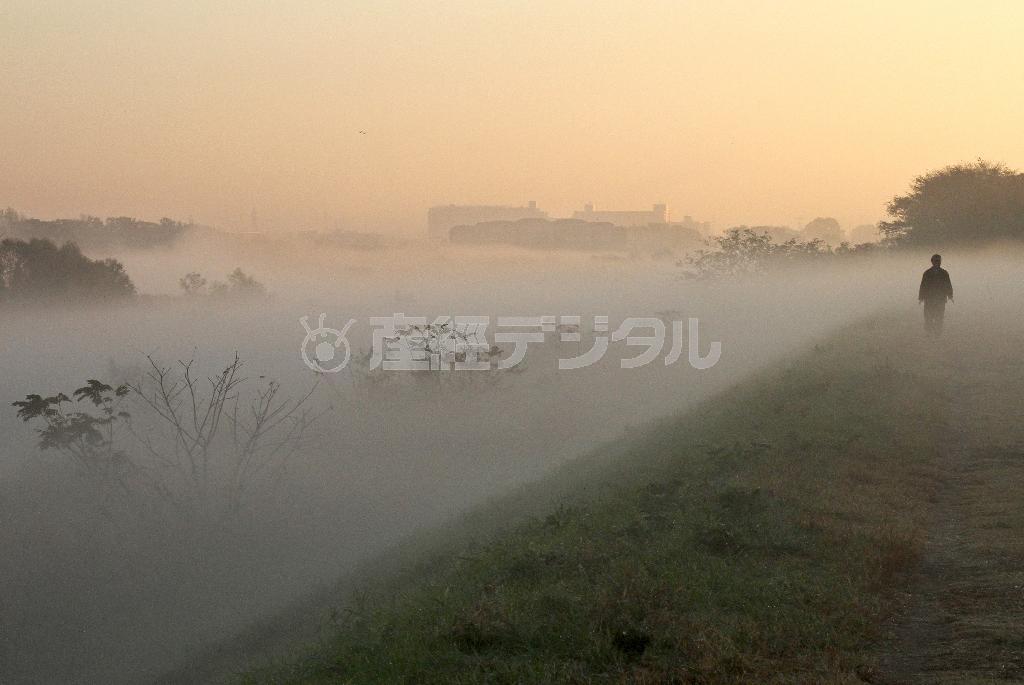 川霧の朝＝２０１３年１１月２６日、神奈川県川崎市多摩区（野村成次撮影）