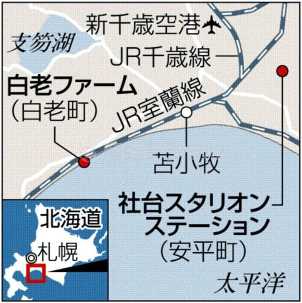 北海道勇払郡安平町（ゆうふつぐんあびらちょう）の社台スタリオンステーション
