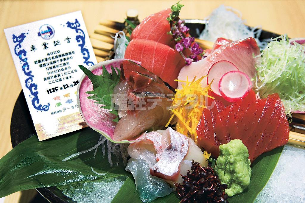 看板メニュー「近大マグロと選抜鮮魚のお造り盛り」。かたわらには、生年月日やどこで飼育され、どんなエサで育ったかなどがＱＲコードでたどれる「卒業証書」が添付されている（田中幸美撮影）