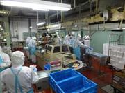 アクリフーズ群馬工場の内部。商品の包装がほぼ完了し、外袋に穴や傷などがないかを従業員が確認している＝２０１２年１２月５日（冷食タイムス提供）