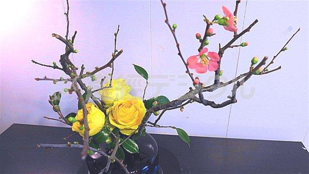 枝ものとバラのコントラストを楽しむ（Ｆｉｎｉｓｈ！、提供写真）