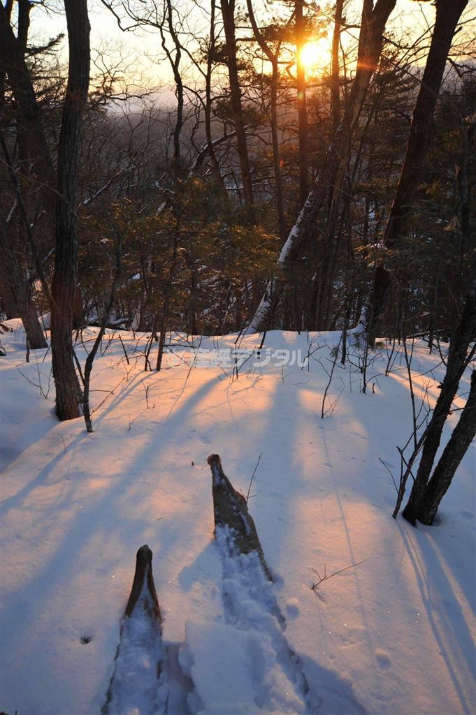 ビキン川沿いの崖に上がり、タイガに昇る朝日を迎える。ウデヘの伝統的なスキーが役に立つ＝２０１３年３月１６日、ロシア・クラスヌイ・ヤール村（伊藤健次さん撮影）