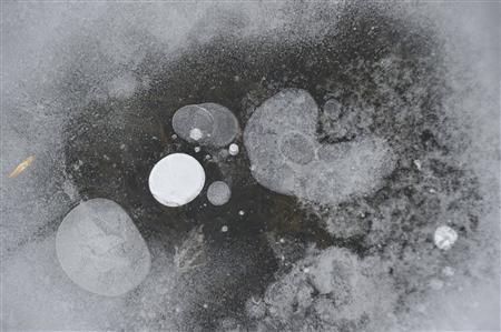 ビキン川の氷に閉じ込められた気泡＝２０１１年２月２１日、ロシア・クラスヌイ・ヤール村（伊藤健次さん撮影）