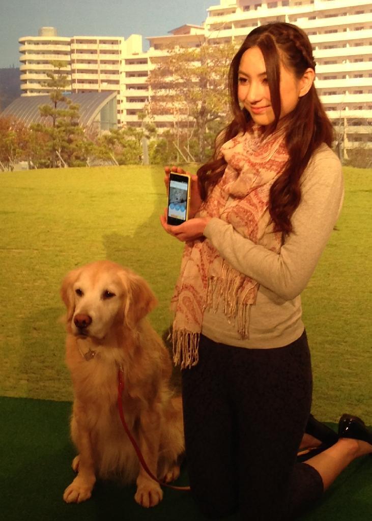 ＮＴＴドコモの「ペットフィット」はスマホでも管理＝１３日、東京都目黒区