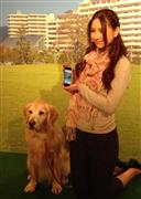 ＮＴＴドコモの「ペットフィット」はスマホでも管理＝１３日、東京都目黒区