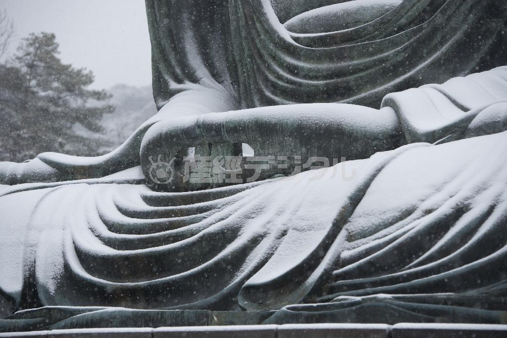 露座の鎌倉大仏にも雪が積もる＝２０１４年２月８日、神奈川県鎌倉市長谷の高徳院（渡辺照明撮影）