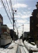 帰宅途中の海に向かう道＝２０１４年２月９日、神奈川県鎌倉市