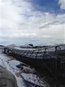 大雪で倒壊したイチゴのビニールハウス＝２０１４年２月１６日午前、栃木県真岡市（農家提供）