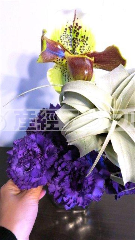 （手順３）「チランジア＿キセログラフィカ」の後ろから顔がでる位置に蘭「パフィオ」を挿し、根本を紫色のトルコキキョウで埋めていく（花千代さん提供）