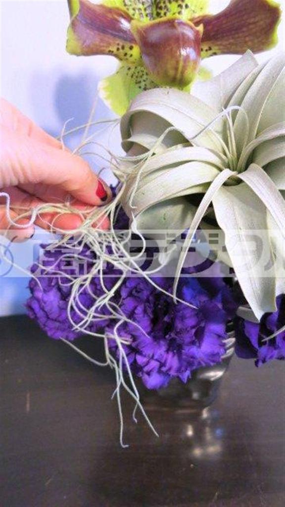 （手順４）最後に、「チランジア＿ウスネオイデス」をアクセントとしてトッピングして仕上げる（花千代さん提供）