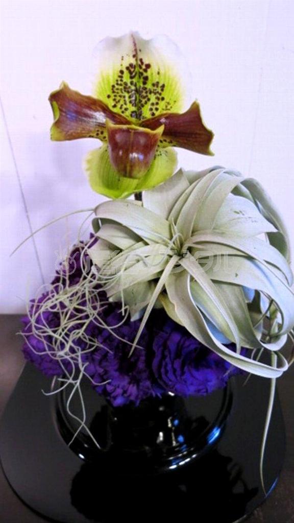 人気のエアープランツでオブジェ風アレンジ（Ｆｉｎｉｓｈ！、花千代さん提供）