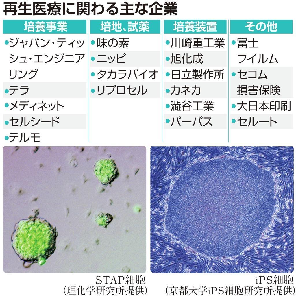 再生医療に関わる主な企業
