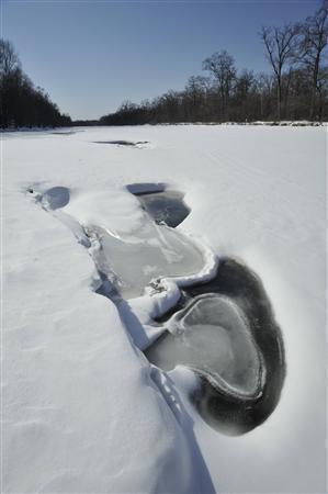 強い日差しをうけて溶け始めたビキン川＝２０１３年３月１３日、ロシア・クラスヌィ・ヤール村（伊藤健次さん撮影）