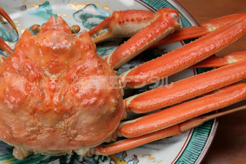 もう一つの冬の味覚、カニ（時価）は兵庫県の津居山から直送されてきたもの。鴨弘では身をほぐして提供される