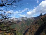 豊かな山を蘇らせようとさまざまな取り組みが行われている秩父の「奥山の森エリア」