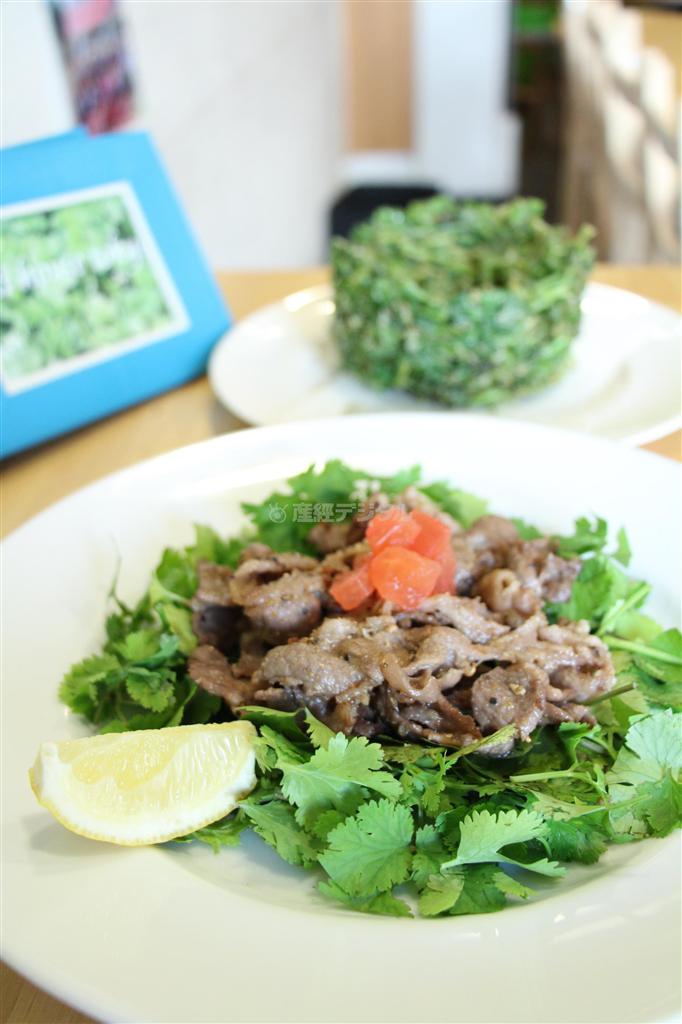 ヤンパク（手前）とパク天（奥）。目にも優しげな緑色の料理が並ぶ＝東京都世田谷区・パクチーハウス東京