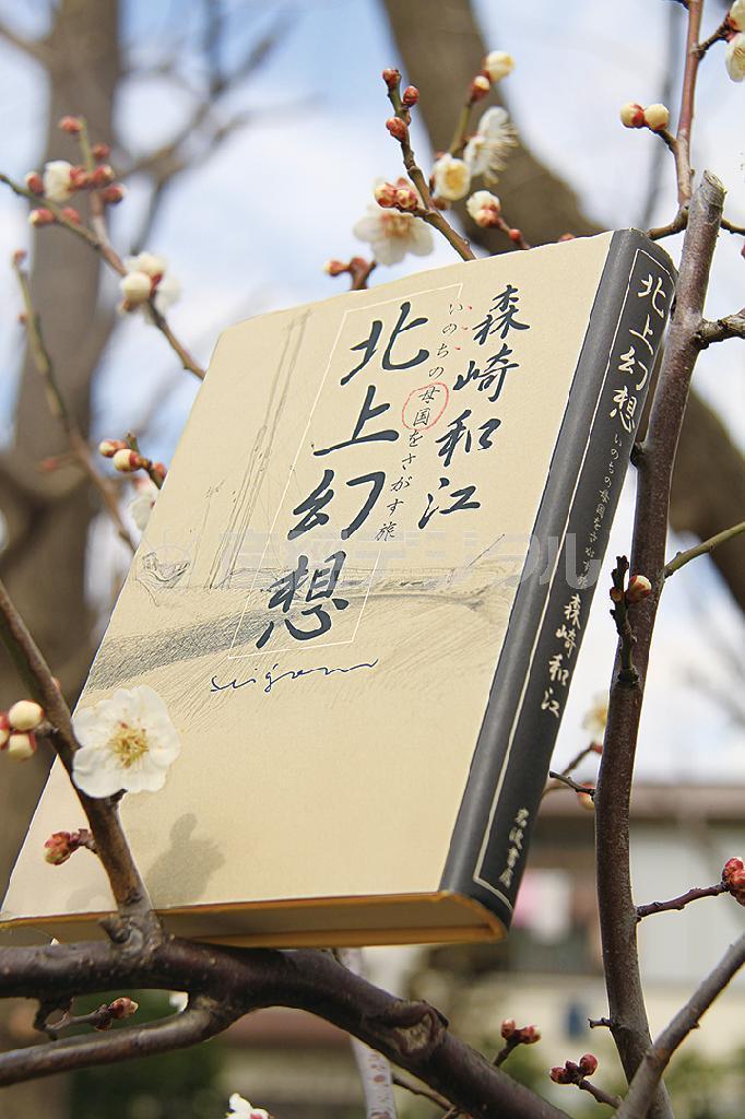 梅が枝に森崎和江の一冊。北上川をさかのぼると、日本の原郷としての奥六群という「みちのく」の本体があるということを、詩情ゆたかに伝えている（小森康仁さん撮影、松岡正剛事務所提供）