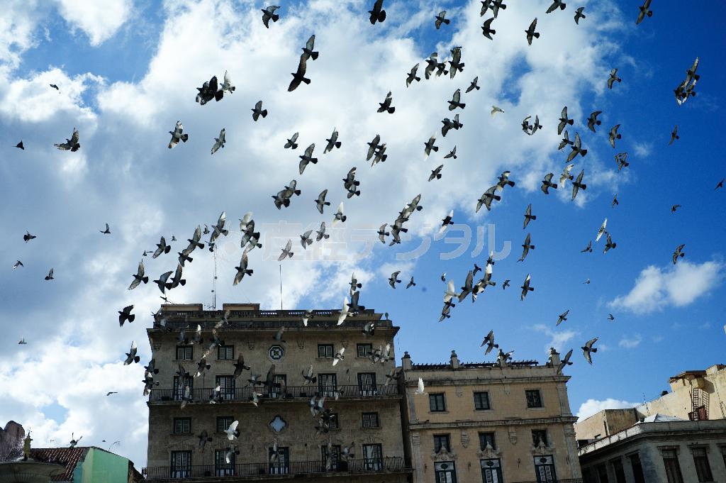 古い街並が残り、観光客に人気の首都ハバナ旧市街の広場＝キューバ（緑川真実さん撮影）