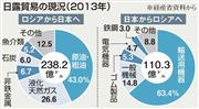 日露貿易の現況（２０１３年）