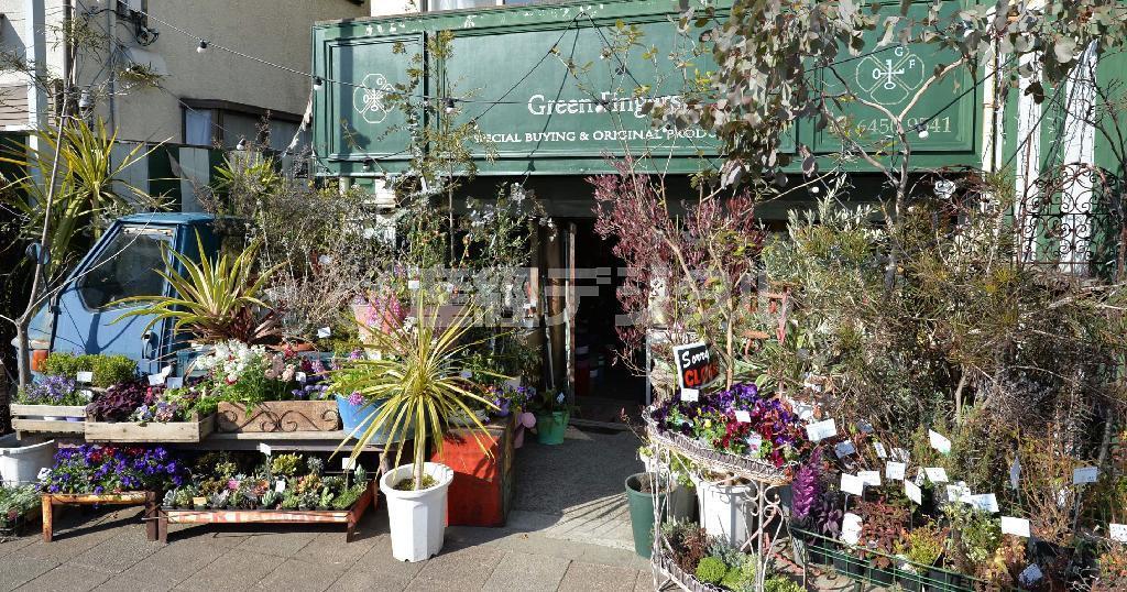 ワインの木箱、ドラム缶…こんなジャンクなものをリメークした鉢台の上で、草花がのびのびと育つ＝２０１４年３月６日、東京都世田谷区の「Ｇｒｅｅｎ＿Ｆｉｎｇｅｒｓ」