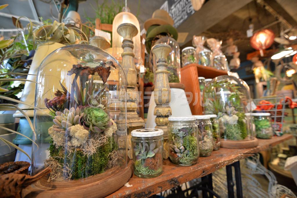 ボトルタイプはお手入れ簡単＝２０１４年３月６日、東京都世田谷区の「ＧＲＥＥＮ＿ＦＩＮＧＥＲＳ」