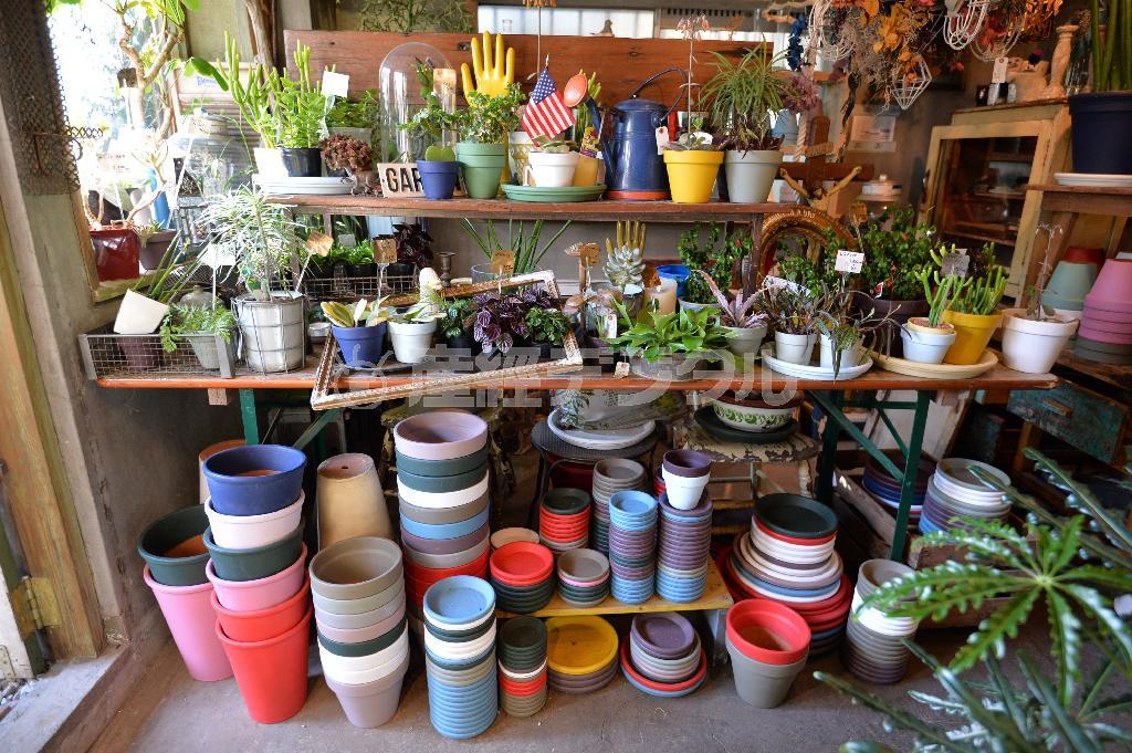 鉢や水受け皿の色味がなんとも絶妙！＿アースカラーやポップな色まで、大小さまざまな鉢で鉢植えをおしゃれに＝２０１４年３月６日、東京都世田谷区の「ＧＲＥＥＮ＿ＦＩＮＧＥＲＳ」