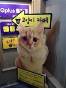 妙に心惹かれる猫カフェの巨大看板。韓国で見つけました＝２０１４年２月２２日、韓国（本谷有希子さん撮影）