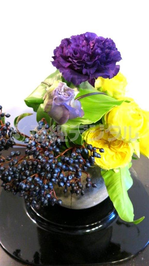 春のバラ＿コントラストつけたモダンアレンジ（Ｆｉｎｉｓｈ！、花千代さん提供）