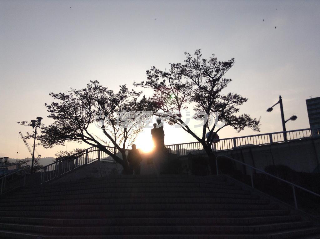 （町田康さん撮影）