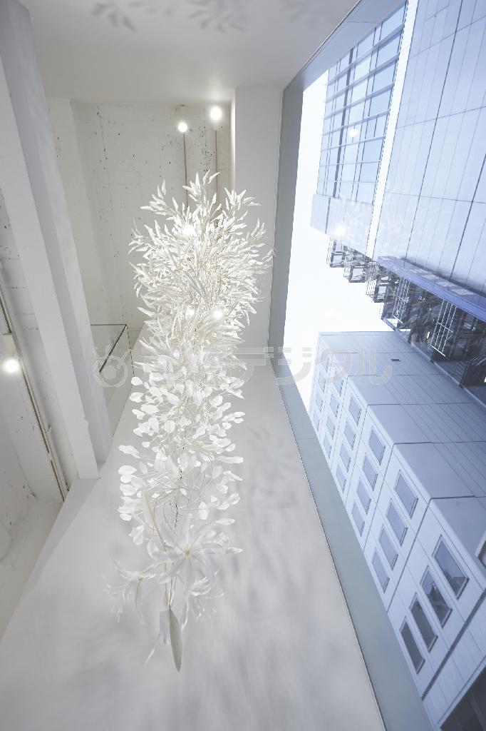 こちらはガチョウの羽根を使ったシャンデリア。大きな窓から光を受け、白壁に優しげな影を揺らめかせる（稲葉真さん撮影、提供写真）