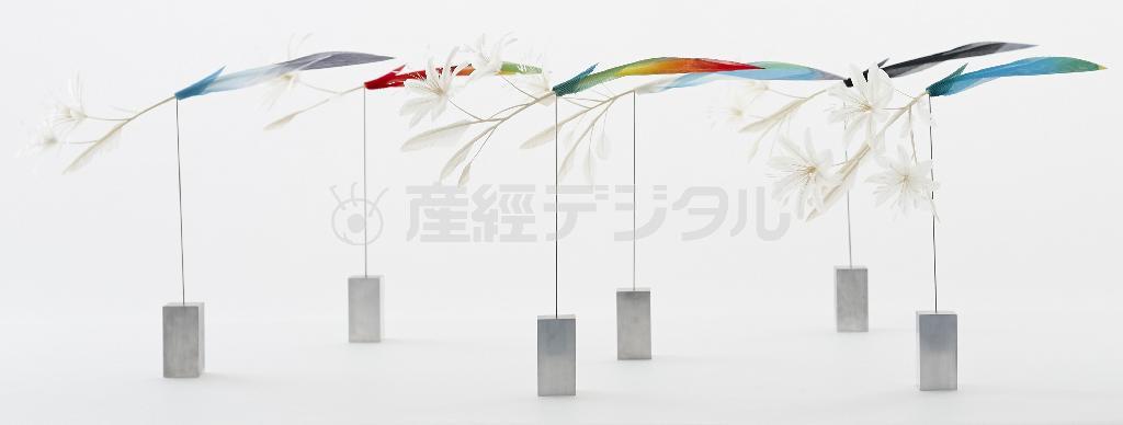 長さ約３２．５センチの１枚の布に、鳥の羽根のように張りをもたせることができるのは、イッセイ＿ミヤケが培ってきた技術のたまもの（稲葉真さん撮影、提供写真）