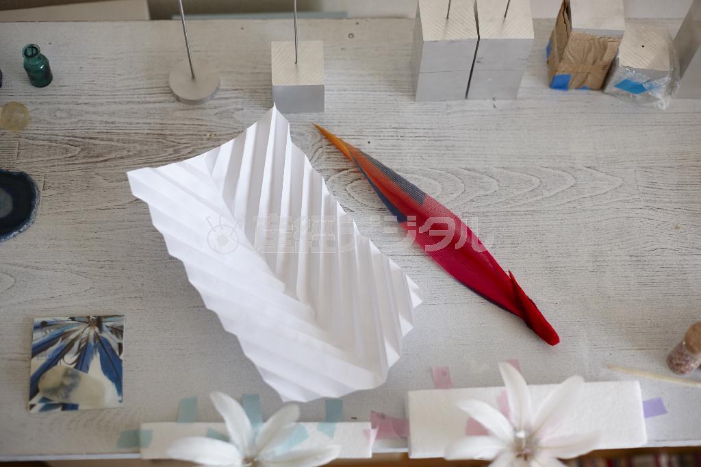 宮前義之さんは左の白い紙のような感じで紙を折り、小松宏誠（こうせい）さんに見せたという（稲葉真さん撮影、提供写真）