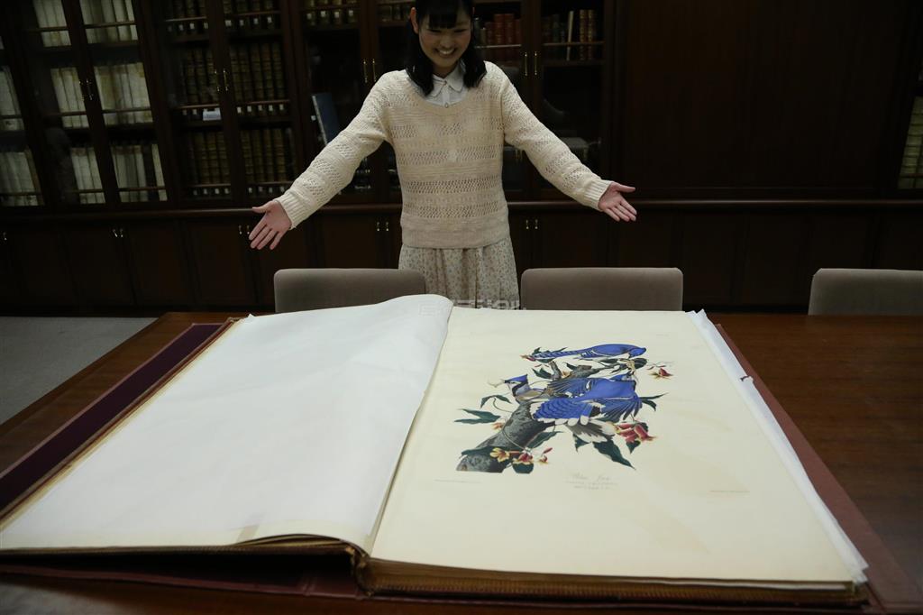 オーデュボン作「バーズオブアメリカ」＝２０１４年３月１０日、東京都日野市の明星大学（大石一男さん撮影）