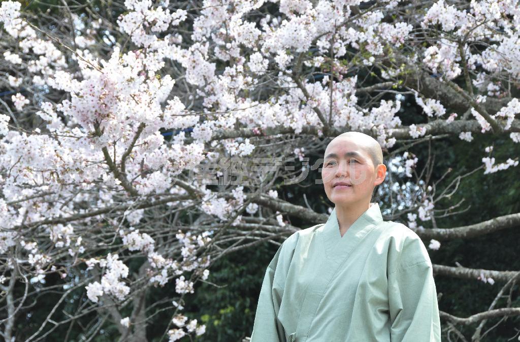 日蓮宗系の尼僧、鈴木日宣（すずき・にっせん）さん＝２０１４年４月２日、千葉県内（伴龍二撮影）