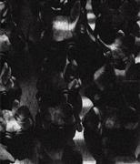 写真集「ＤＩＳＴＯＲＴＩＯＮ（ディストーション）」（やまなみ工房、４０００円＋税、提供写真）