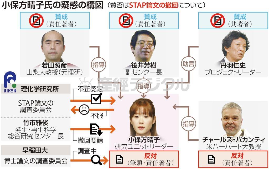 【ＳＴＡＰ細胞】小保方（おぼかた）晴子氏の疑惑の構図（賛否はＳＴＡＰ論文の撤回について）＝２０１４年４月９日現在
