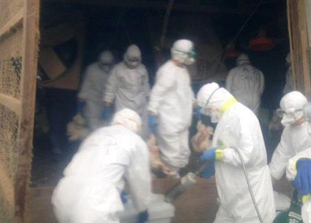 養鶏場で鶏を殺処分を行う熊本県の職員ら＝２０１４年４月１３日午前１１時３０分ごろ、熊本県球磨郡多良木町（熊本県提供）