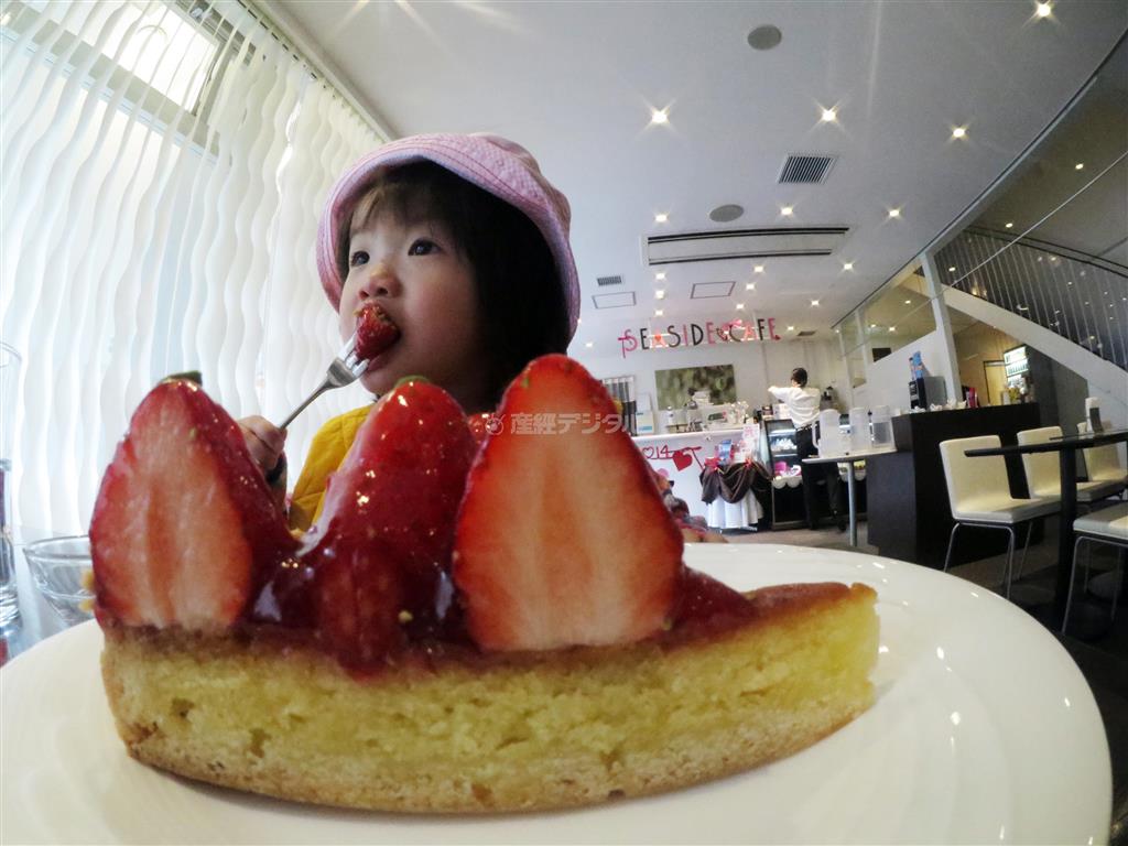 接写の最短距離は２１センチ。ケーキなど、サイズ感の分かるモノを手前に置くと、子供とケーキの大きさの比率がアンバランスになって、面白い、漫画のような絵ができあがります（須藤夕子さん提供）