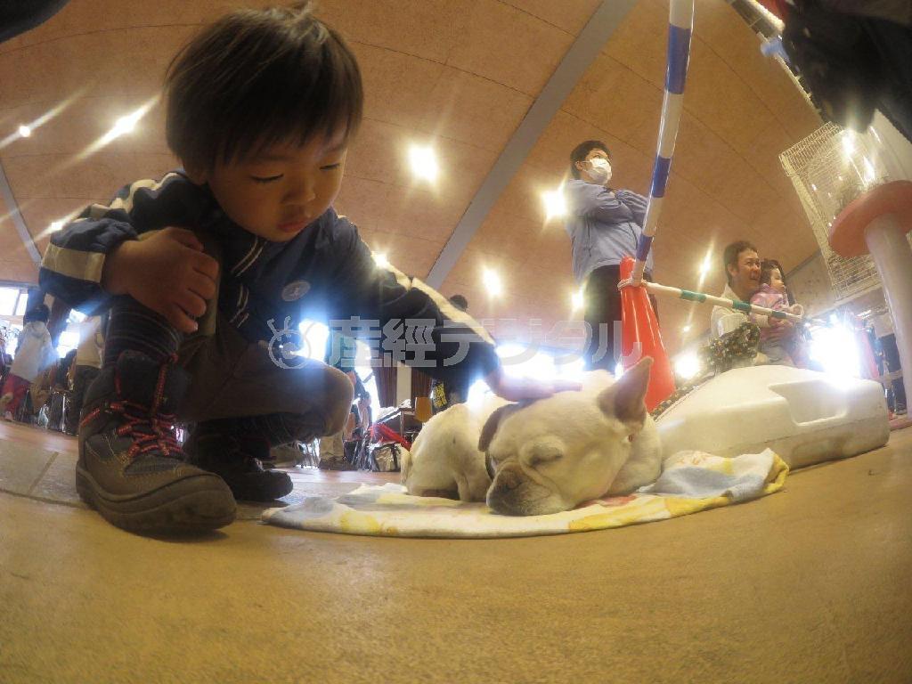 【読者写真（真由美さん、モデル：悠太くん）】須藤夕子先生のワンポイントレッスン：子供の動物を愛する優しい視線や気持ちまで伝わってくる写真ですね。レンズが少し曇っていたのがうまい具合にフィルター効果をもたらし、雰囲気を出しています。