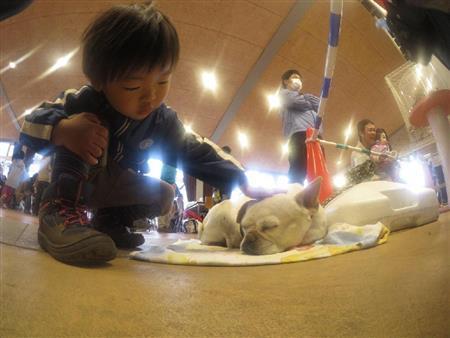 【読者写真（真由美さん、モデル：悠太くん）】須藤夕子先生のワンポイントレッスン：子供の動物を愛する優しい視線や気持ちまで伝わってくる写真ですね。レンズが少し曇っていたのがうまい具合にフィルター効果をもたらし、雰囲気を出しています。