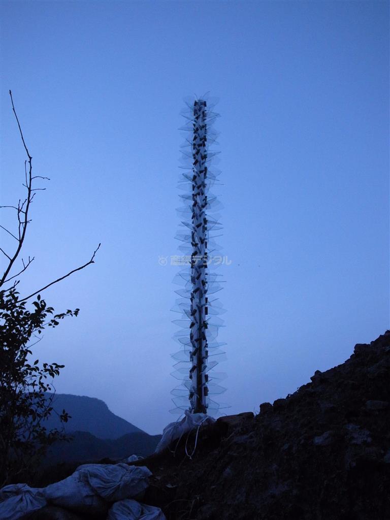 並石プロジェクト＿勅使川原三郎「月の木」（提供写真）