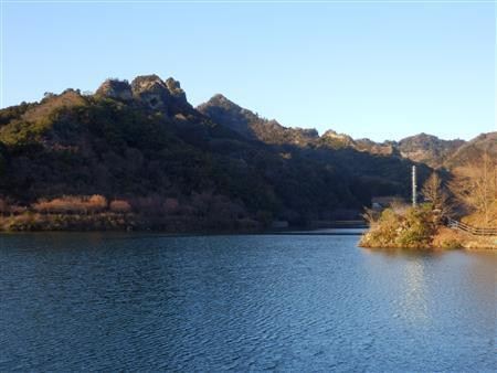 勅使川原三郎「月の木」遠景（提供写真）