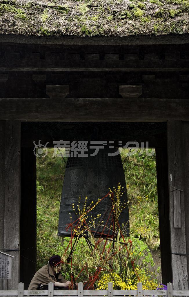 国宝の梵鐘と春の花の軽やかさがしっくりととけ込む＝２０１４年４月６日、神奈川県鎌倉市山ノ内、建長寺鐘楼（渡辺照明撮影）
