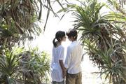 映画「２つ目の窓」（河瀬直美監督）。７月２６日公開（提供写真）。（Ｃ）２０１４＿“ＦＵＴＡＴＳＵＭＥ＿ＮＯ＿ＭＡＤＯ”＿ＪＦＰ，ＣＤＣ，ＡＲＴＥ＿ＦＣ，ＬＭ．