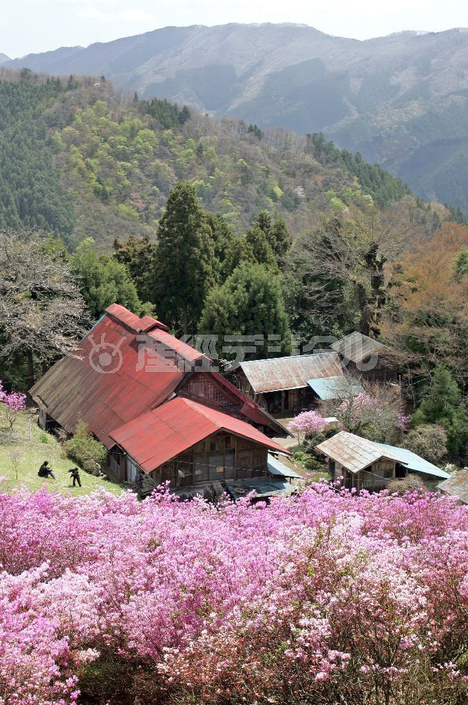 遙かな山の民家＝２０１１年４月２４日、東京都西多摩郡檜原村（野村成次撮影）