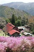 遙かな山の民家＝２０１１年４月２４日、東京都西多摩郡檜原村（野村成次撮影）