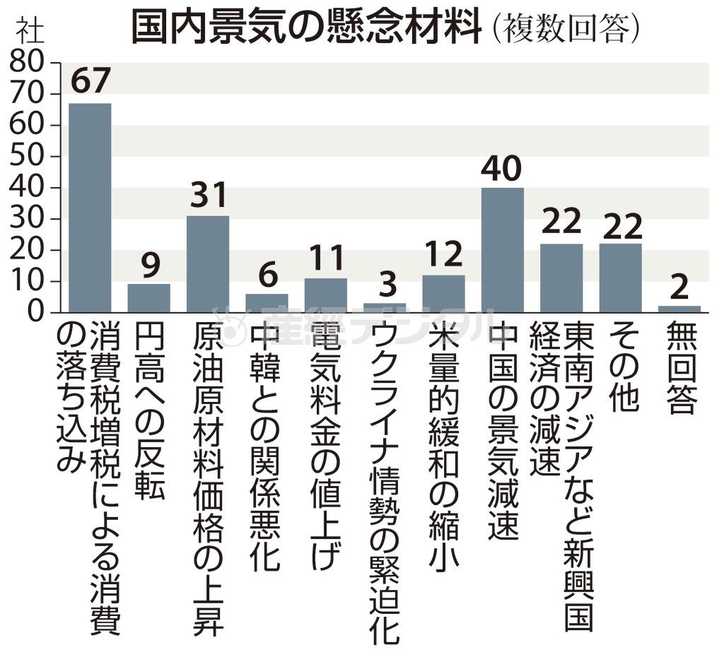 国内景気の懸念材料（複数回答）＝※主要企業１２３社にアンケート実施（産経新聞社調べ）