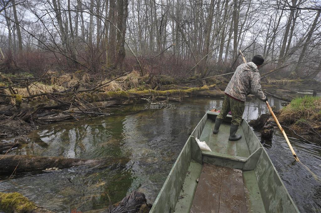 ウデヘの猟師は倒木が重なる細い水路を道として使う＝２０１１年５月７日、ロシア・クラスヌィ・ヤール村（伊藤健次さん撮影）