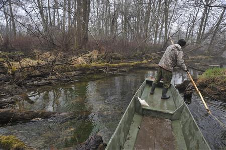 ウデヘの猟師は倒木が重なる細い水路を道として使う＝２０１１年５月７日、ロシア・クラスヌィ・ヤール村（伊藤健次さん撮影）